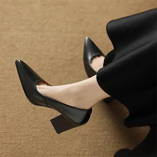 Amelier Women's Leather Pumps Pointed Toe Block Heel