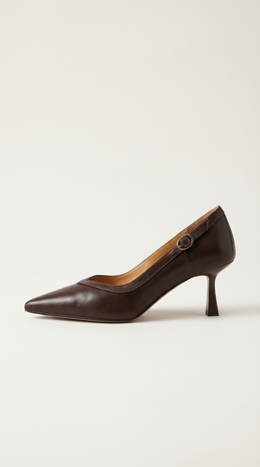 Amelier Women's Leather Stiletto Heels Pointed Toe Brown